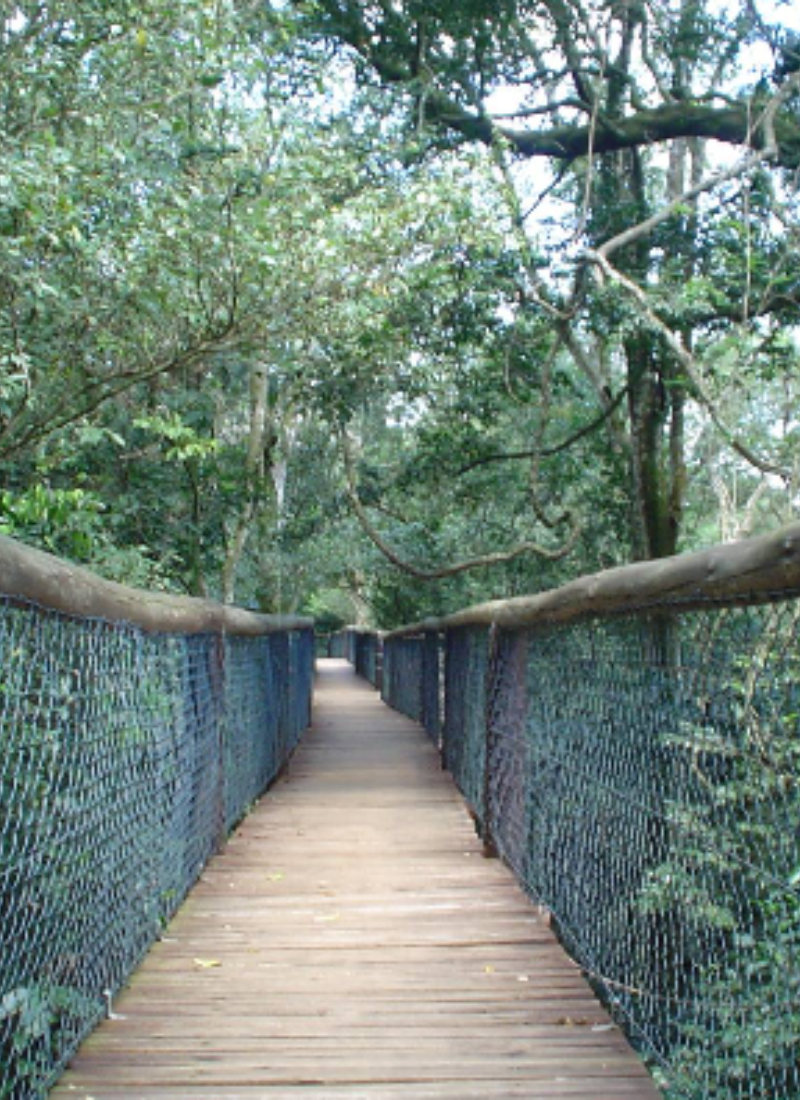 Enseleni-Nature-Reserve.png